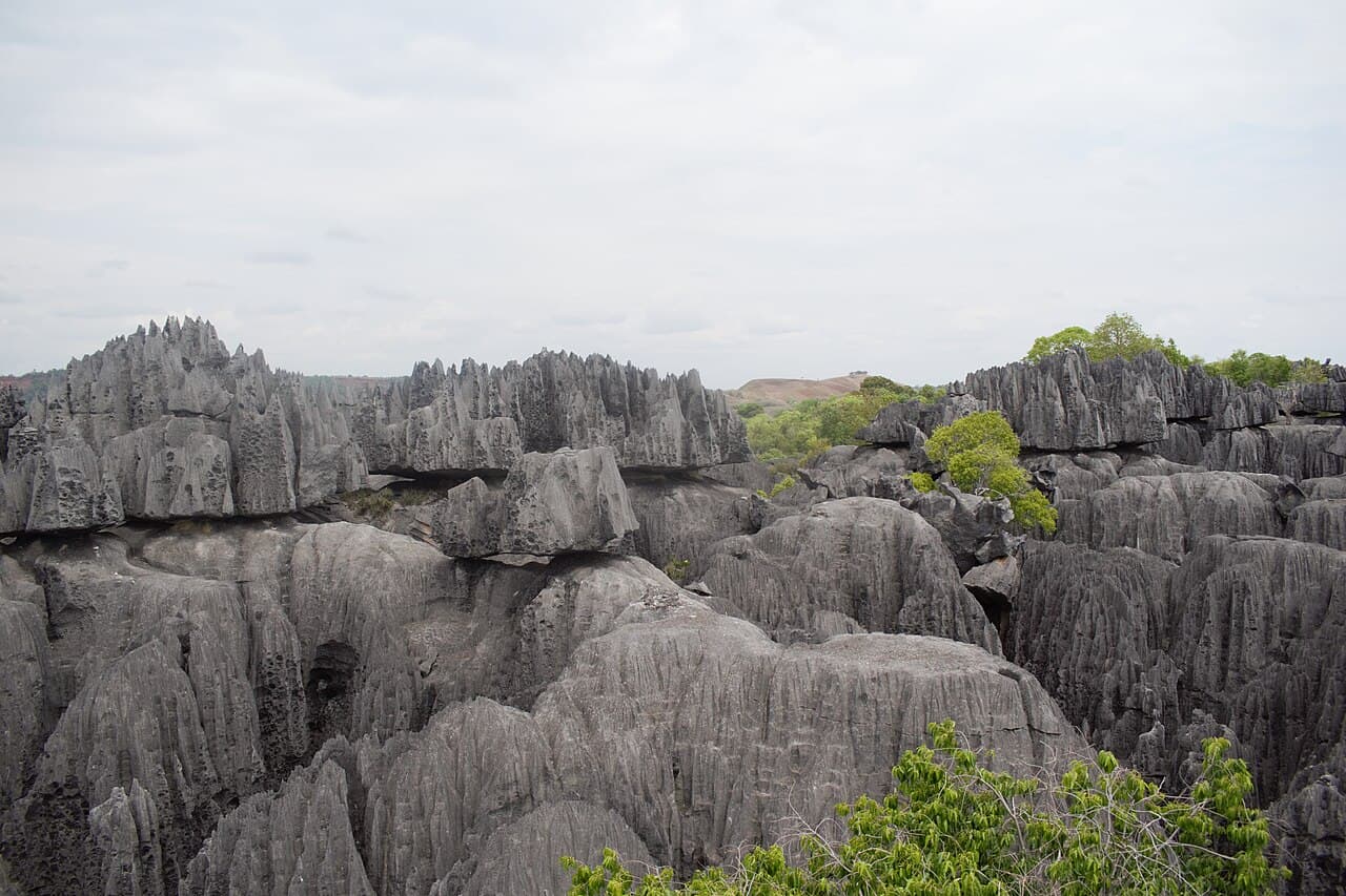 Tsingy de Bemaraha · forêt de pierre